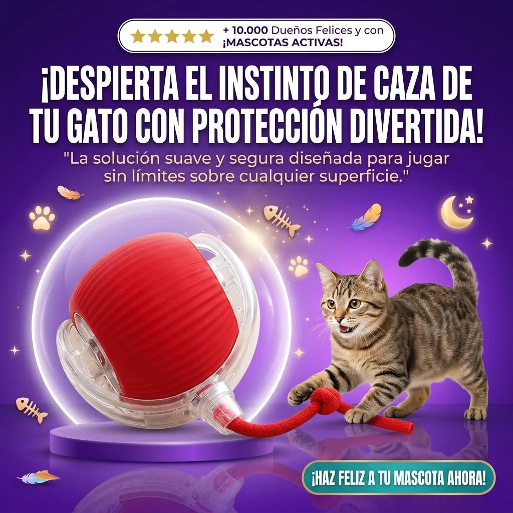 Juguete Pelota Recargable Para Mascotas Promoción 2x1